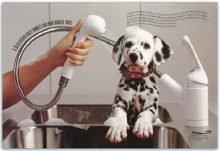 History Deltafaucet Company